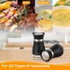 Salt and Pepper Seasoning Shakers Set
